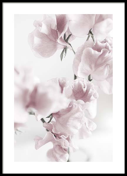 Summer Dream No1 Poster nel gruppo Poster / Fotografia presso Desenio AB (10405)