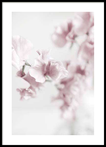 Summer Dream No2 Poster nel gruppo Poster / Fotografia presso Desenio AB (10406)