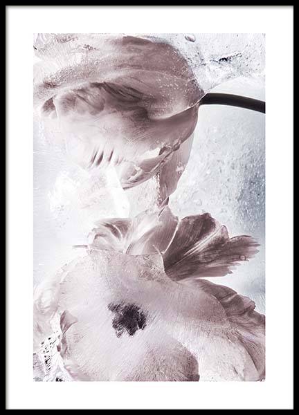 Tulipe And Ice No2 Poster nel gruppo Poster / Fotografia presso Desenio AB (10410)