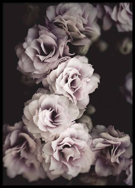 Bouquet De Fleurs Poster nel gruppo Poster / Fotografia presso Desenio AB (10433)