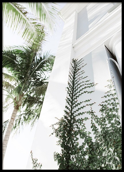 Climbing Plant Poster nel gruppo Poster / Natura presso Desenio AB (10628)