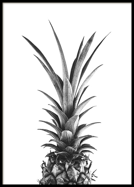 Pineapple B&W Poster nel gruppo Poster / Bianco e nero  presso Desenio AB (10658)