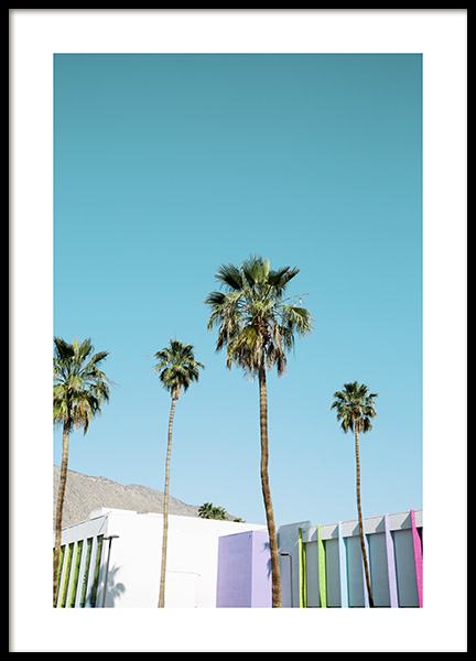 Rainbow Palms Poster nel gruppo Poster / Natura presso Desenio AB (10789)