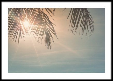 Sunset Palm Leaves Poster nel gruppo Poster / Natura presso Desenio AB (10882)
