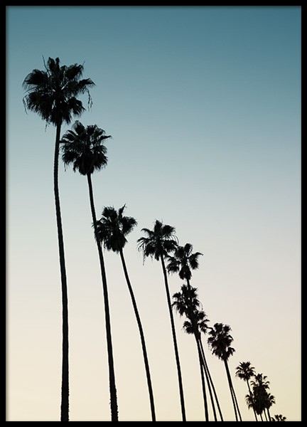 Palm Row Sunset Poster nel gruppo Poster / Natura presso Desenio AB (10956)