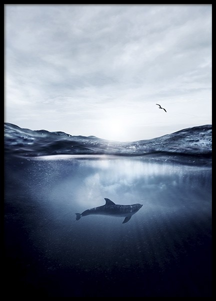 Dolphin Underwater Poster nel gruppo Poster / Natura presso Desenio AB (11049)