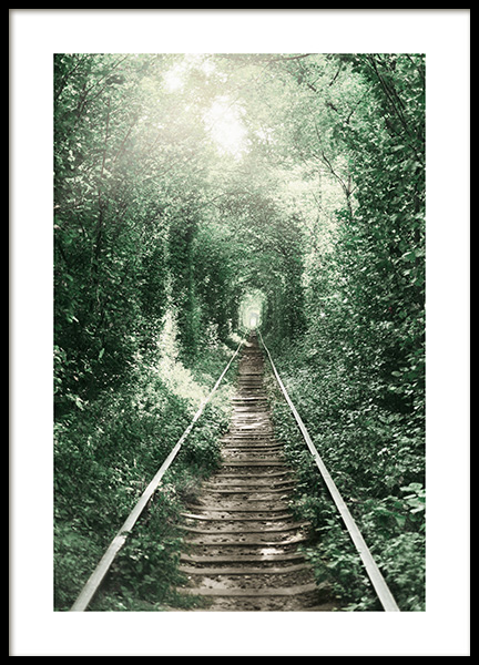 Forest Tunnel Poster nel gruppo Poster / Natura presso Desenio AB (11265)