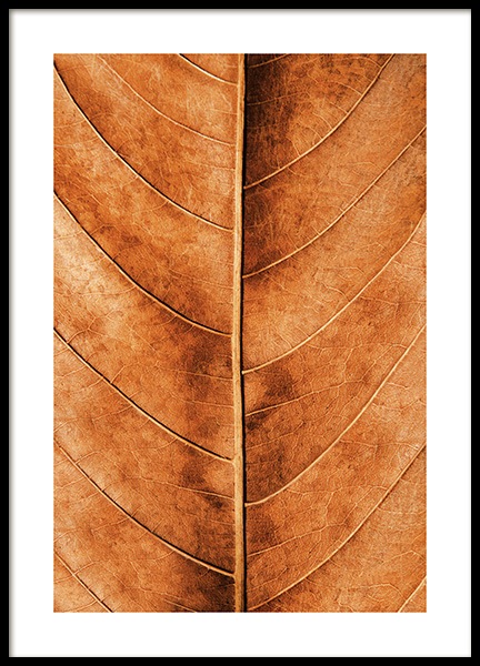 Autumn Leaf Poster nel gruppo Poster / Natura presso Desenio AB (11575)