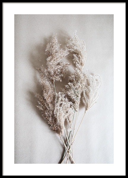 Bouquet of Autumn Reeds Poster nel gruppo Poster / Fotografia presso Desenio AB (11798)