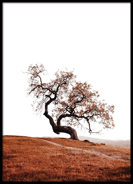 Tree on Hill Poster nel gruppo Poster / Natura presso Desenio AB (11869)