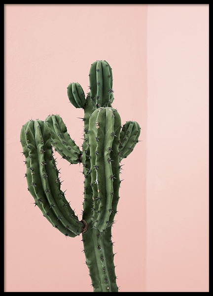 Cactus Corner Poster nel gruppo Poster / Fotografia presso Desenio AB (12746)