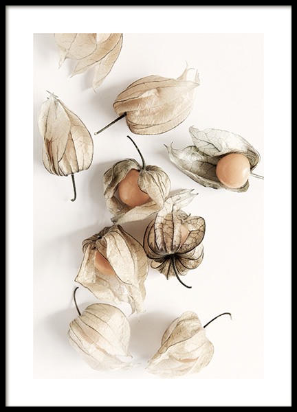 Golden Berries Poster nel gruppo Poster / Poster per la cucina presso Desenio AB (12993)