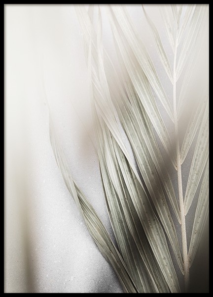 Foggy Palm Leaf Poster nel gruppo  presso Desenio AB (13574)