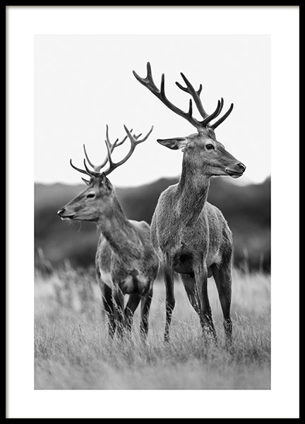 Deer Friends Poster nel gruppo Poster / Animali presso Desenio AB (13590)