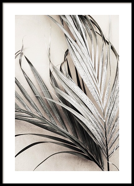Dry Palm Leaves No3 Poster nel gruppo  presso Desenio AB (13672)