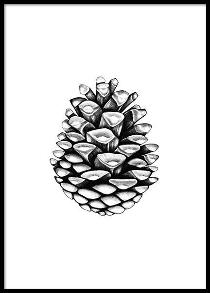 Pinecone Poster nel gruppo Poster / Bianco e nero  presso Desenio AB (2274)