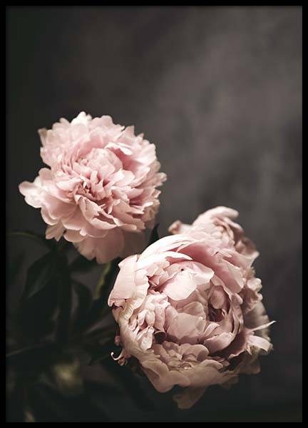 There's Beauty Poster nel gruppo Poster / Fotografia presso Desenio AB (2788)