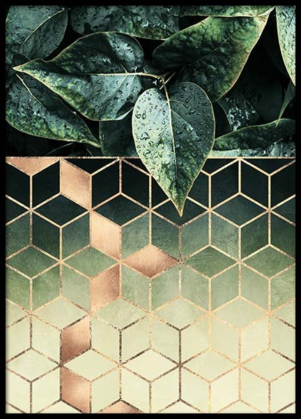Leaves And Cubes Poster nel gruppo Poster / Arte presso Desenio AB (2813)