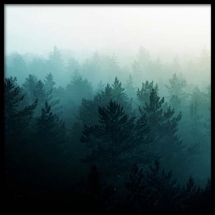 View Of Misty Forest Poster nel gruppo Poster / Natura presso Desenio AB (3567)