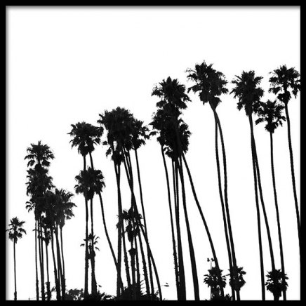 Venice Beach Palm Trees No1 Poster nel gruppo Poster / Bianco e nero  presso Desenio AB (3776)