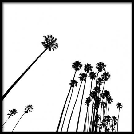 Venice Beach Palm Trees No2 Poster nel gruppo Poster / Bianco e nero  presso Desenio AB (3777)