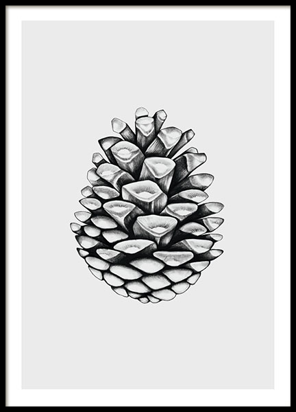 Grey Pinecone Poster nel gruppo Poster / Bianco e nero  presso Desenio AB (8222)