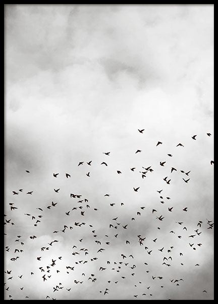 Bird Sky Poster nel gruppo Poster / Natura presso Desenio AB (8257)