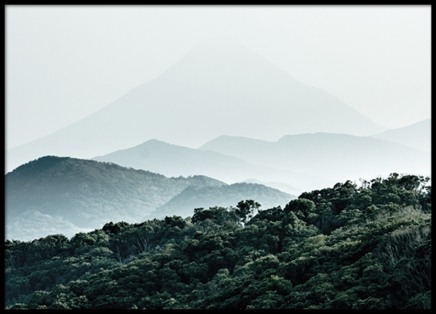 Forest Hills Poster nel gruppo Poster / Natura presso Desenio AB (8307)