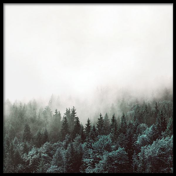 Tree Tops Poster nel gruppo Poster / Natura presso Desenio AB (8587)