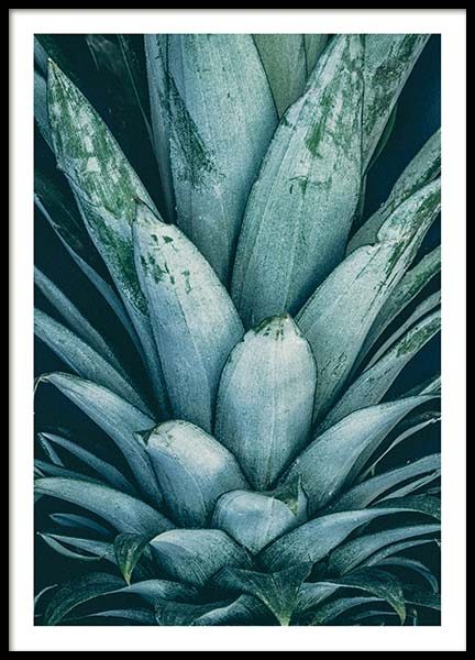 Pineapple Crown Poster nel gruppo Poster / Poster per la cucina presso Desenio AB (8811)
