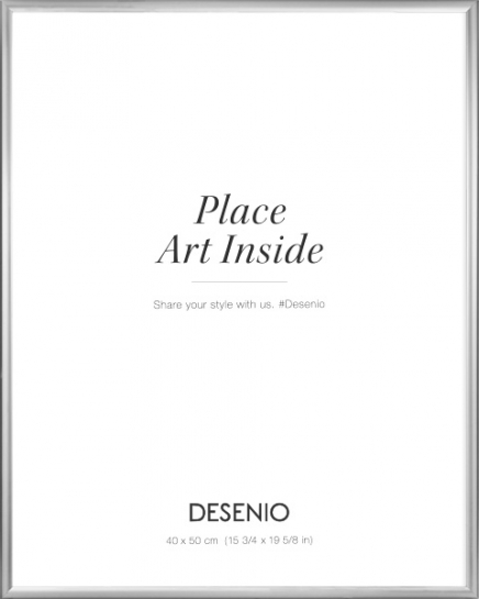 Cornice argentata, 40x50