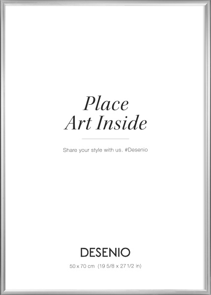 Cornice argentata, 50x70