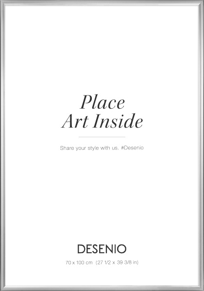 Cornice argentata, 70x100