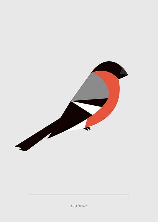 Bullfinch Poster