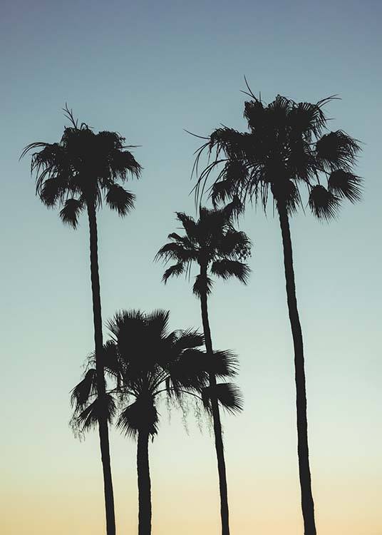 Sunset Palms Poster / Quadri tropicale presso Desenio AB (10035)
