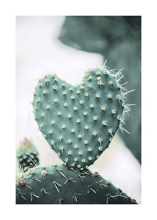 Heart Cactus Poster / Fotografia presso Desenio AB (10431)