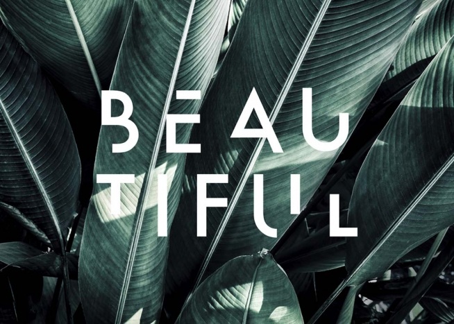 – Foto botanica su foglie di palma con la parola beautiful