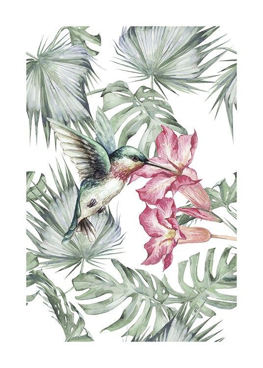 Tropical Bird No1 Poster