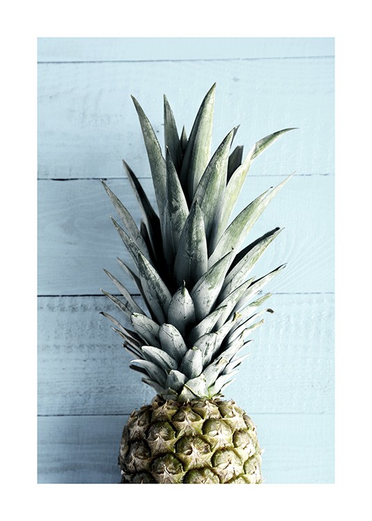 Pineapple Top Poster
