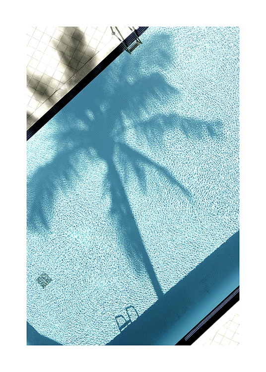 Pool and Palm Tree Poster / Fotografia presso Desenio AB (10668)