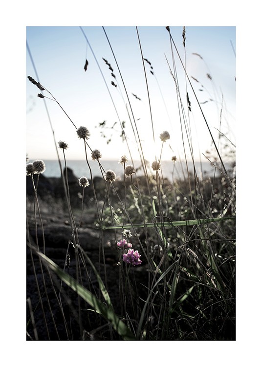 Wildflowers Poster / Natura presso Desenio AB (10708)