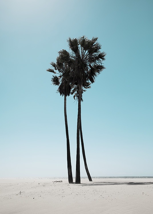 LA Beach Palms Poster / Quadri tropicale presso Desenio AB (10784)