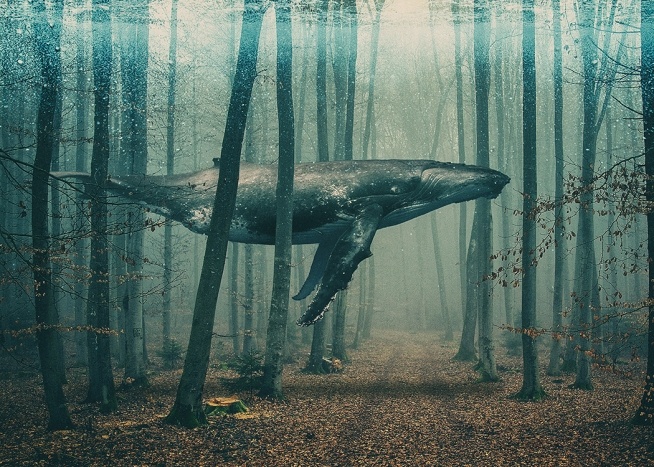 Whale in Forest Poster