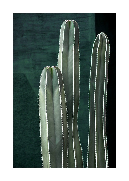 Dark Green Cactus Poster / Fotografia presso Desenio AB (10983)