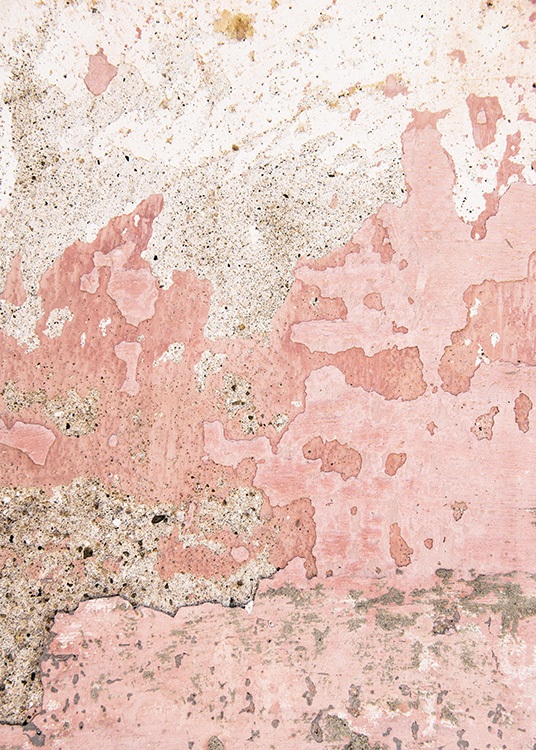 Old Pink Wall Poster / Fotografia presso Desenio AB (11243)