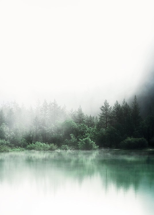  – Fotografia di un lago con il riflesso degli alberi verdi di una foresta