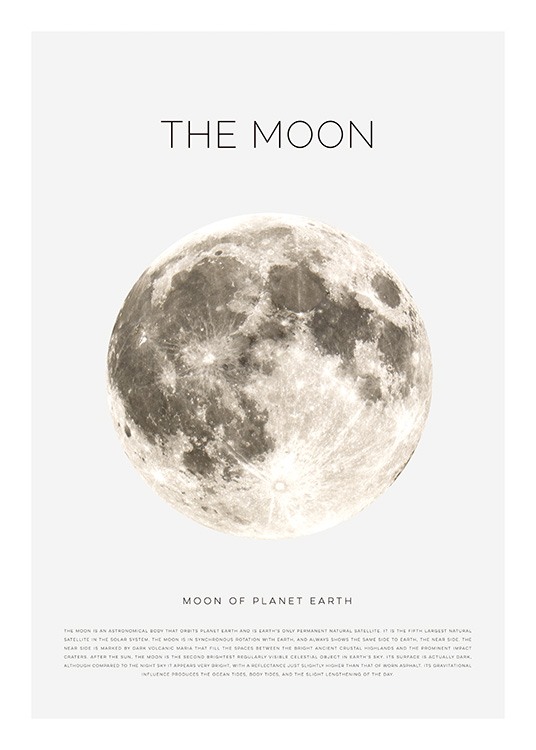 The Moon Poster / Quadri per bambini presso Desenio AB (11441)