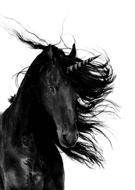 –Unicorno in nero su sfondo bianco.