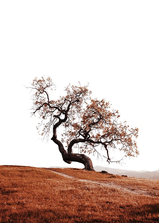 –Stampa di un albero su una collina.