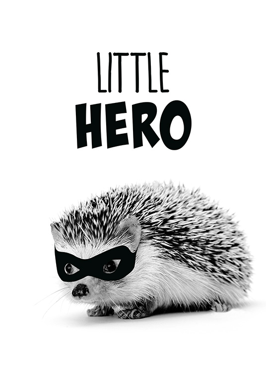 Little Hero Poster
